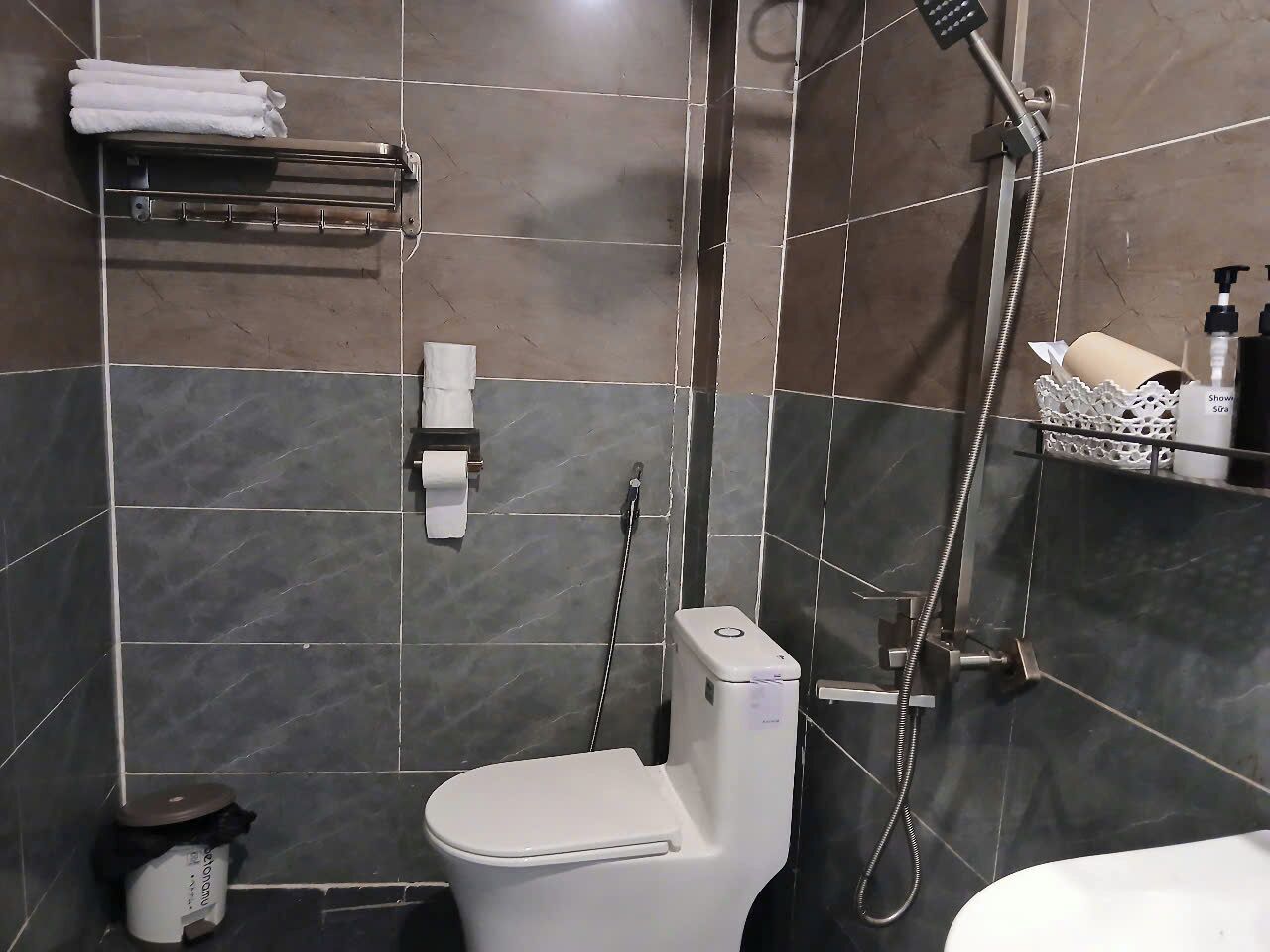 A bathroom with a toilet, a towel rack with towels, a shower head, and a soap dispenser.