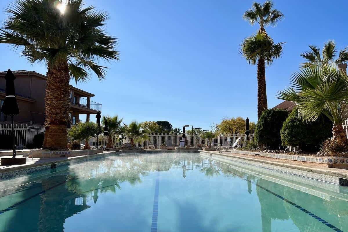 A swimming pool with clear water, surrounded by palm trees and a fence.