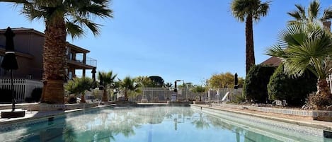A swimming pool with clear water, surrounded by palm trees and a fence.