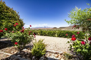 Área da propriedade