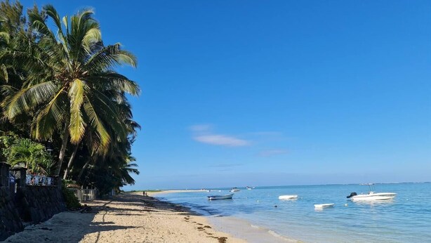 Una playa con palmeras, cielo azul despejado y barcos en el agua.