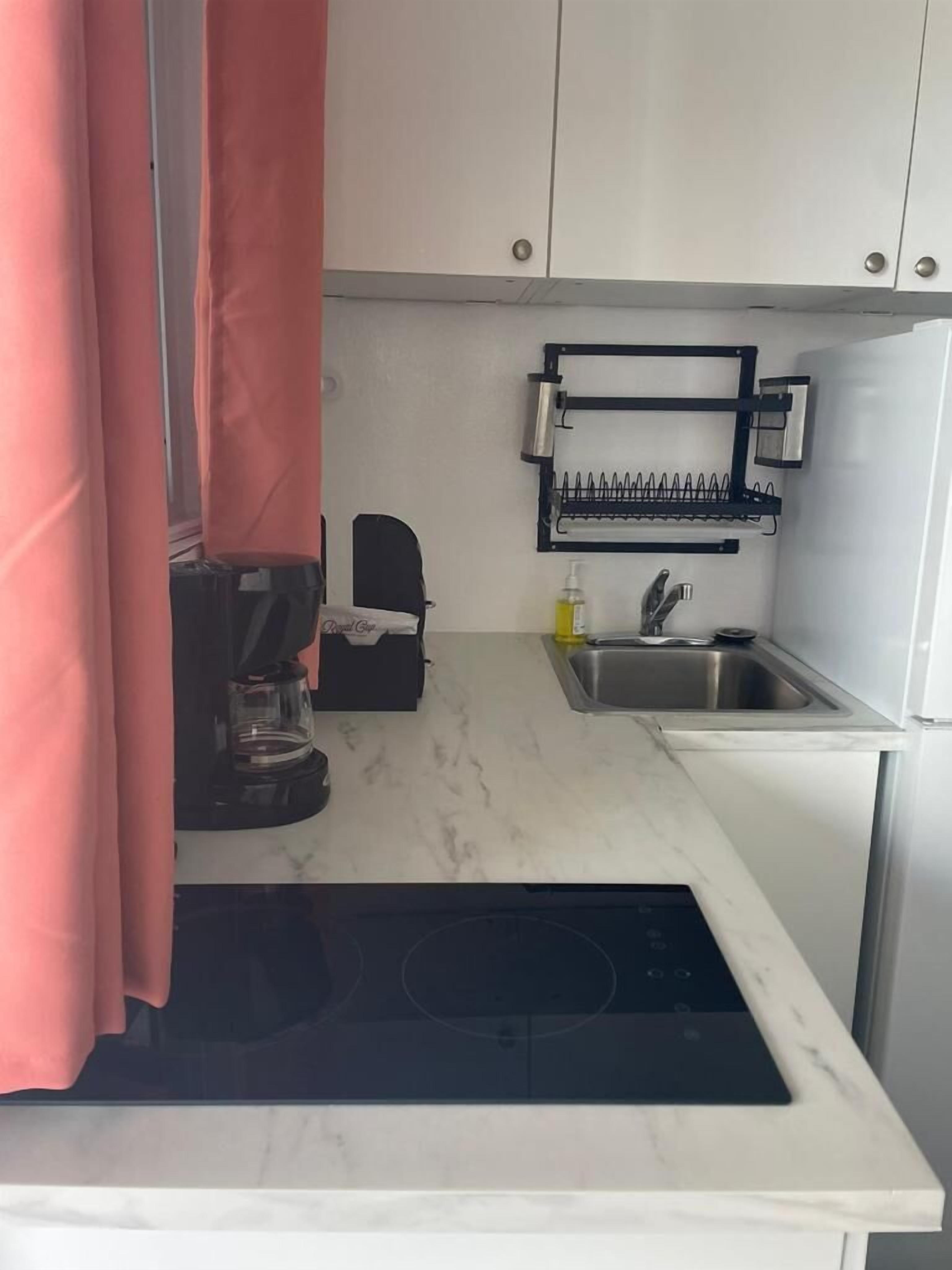Una cocina compacta con estufa integrada, cafetera, lavabo y un espacio para especias.