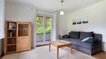 TV, fireplace, table tennis