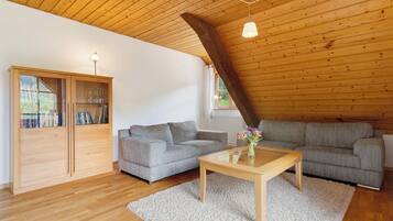 TV, DVD player, table tennis, stereo