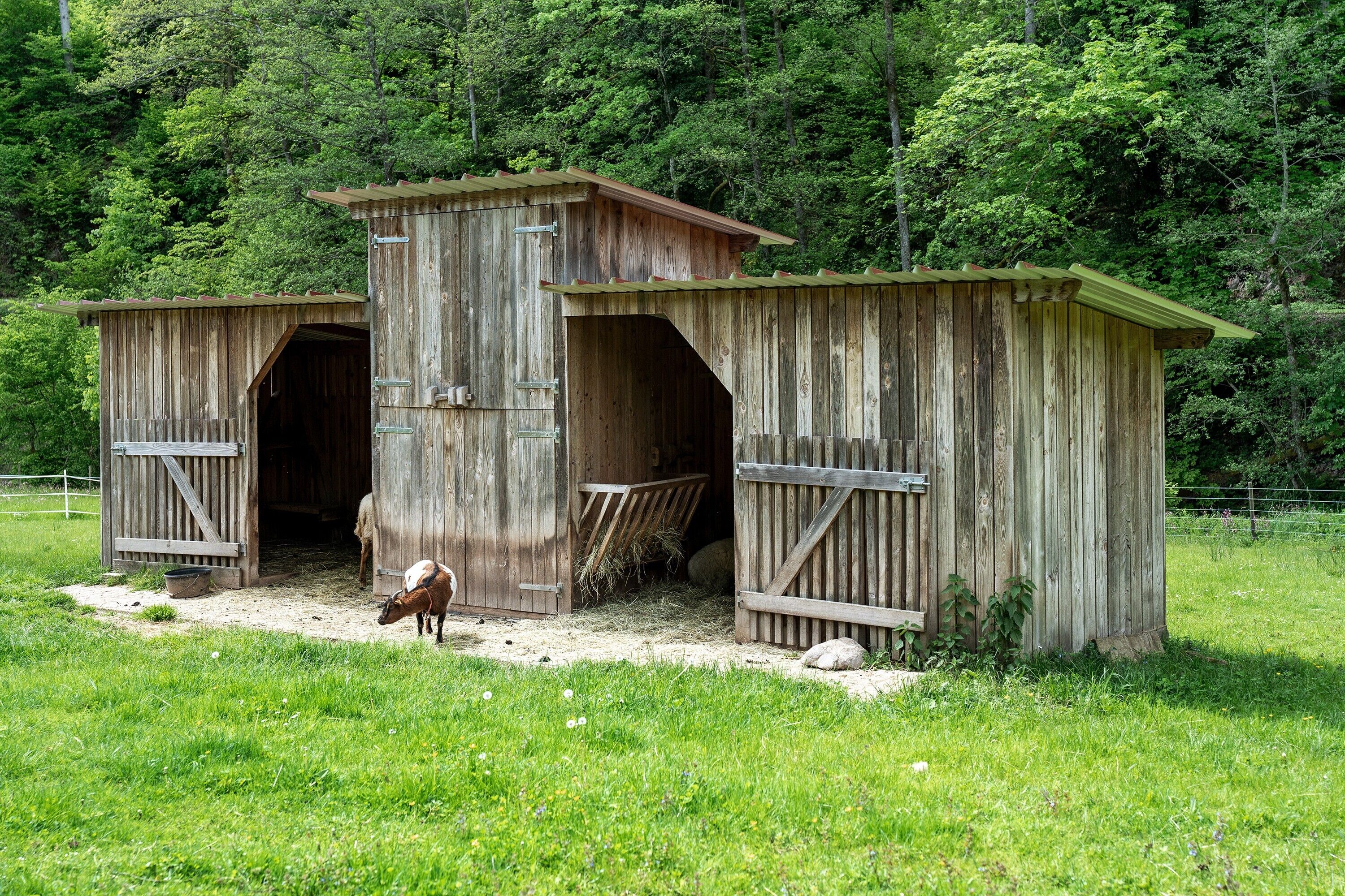A rustic wooden barn with two open doors, a feeding trough, and a cow standing outside.