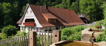 Apartment 'Appartement Im Hof, 36qm' with Mountain View, Shared Terrace and Wi-Fi