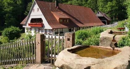 Apartment 'Appartement Im Hof, 36qm' with Mountain View, Shared Terrace and Wi-Fi