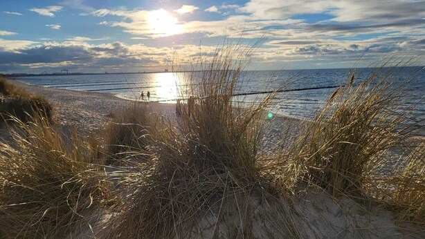 Una playa con dunas de arena y cielo despejado.