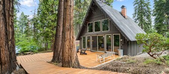 Shaver Wood Forrest-Smokey Tree