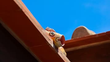 A close-up of a wooden structure with a carved, colorful design.