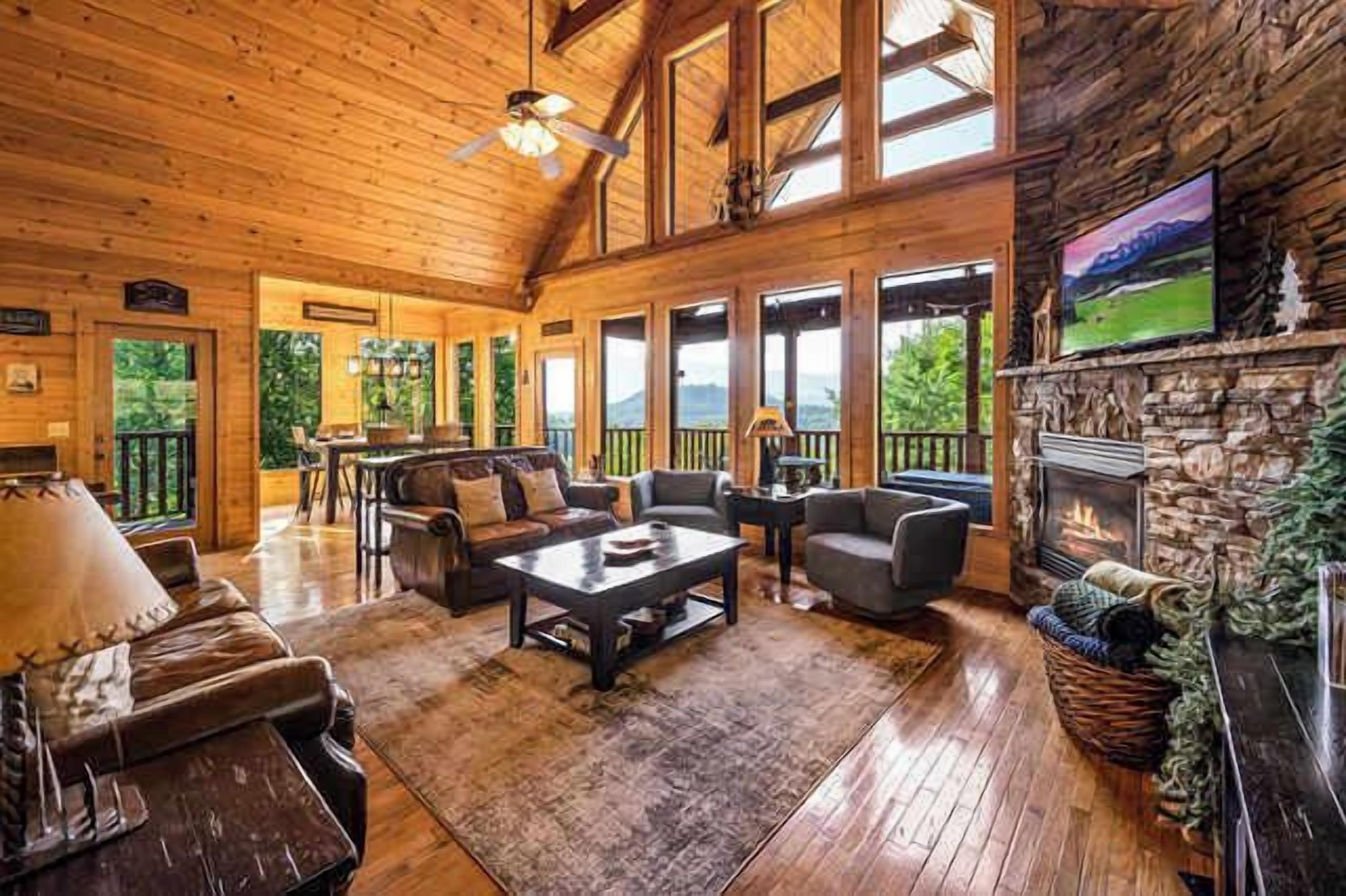 TV, fireplace, video games, DVD player