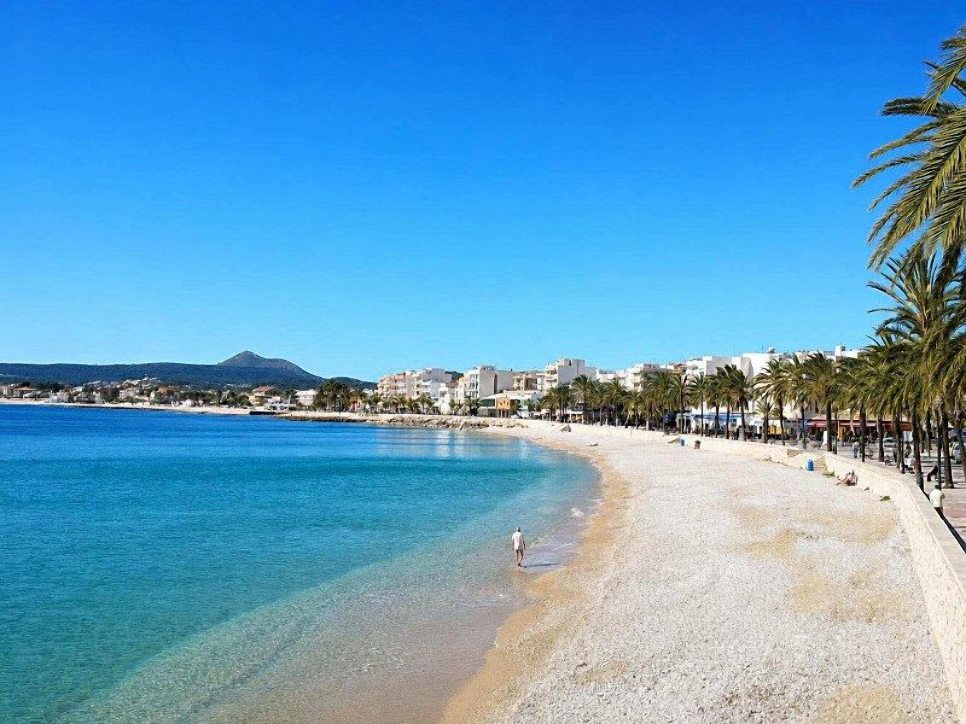 A beach with clear water, a sandy shore, and a row of palm trees.