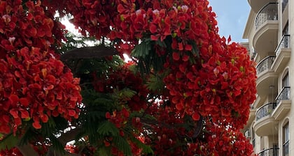 Luxe Living - 3 Bedrooms in Rehab City New Cairo Egypt