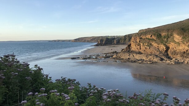 Un paysage côtier comprenant une plage, des falaises et de la végétation.