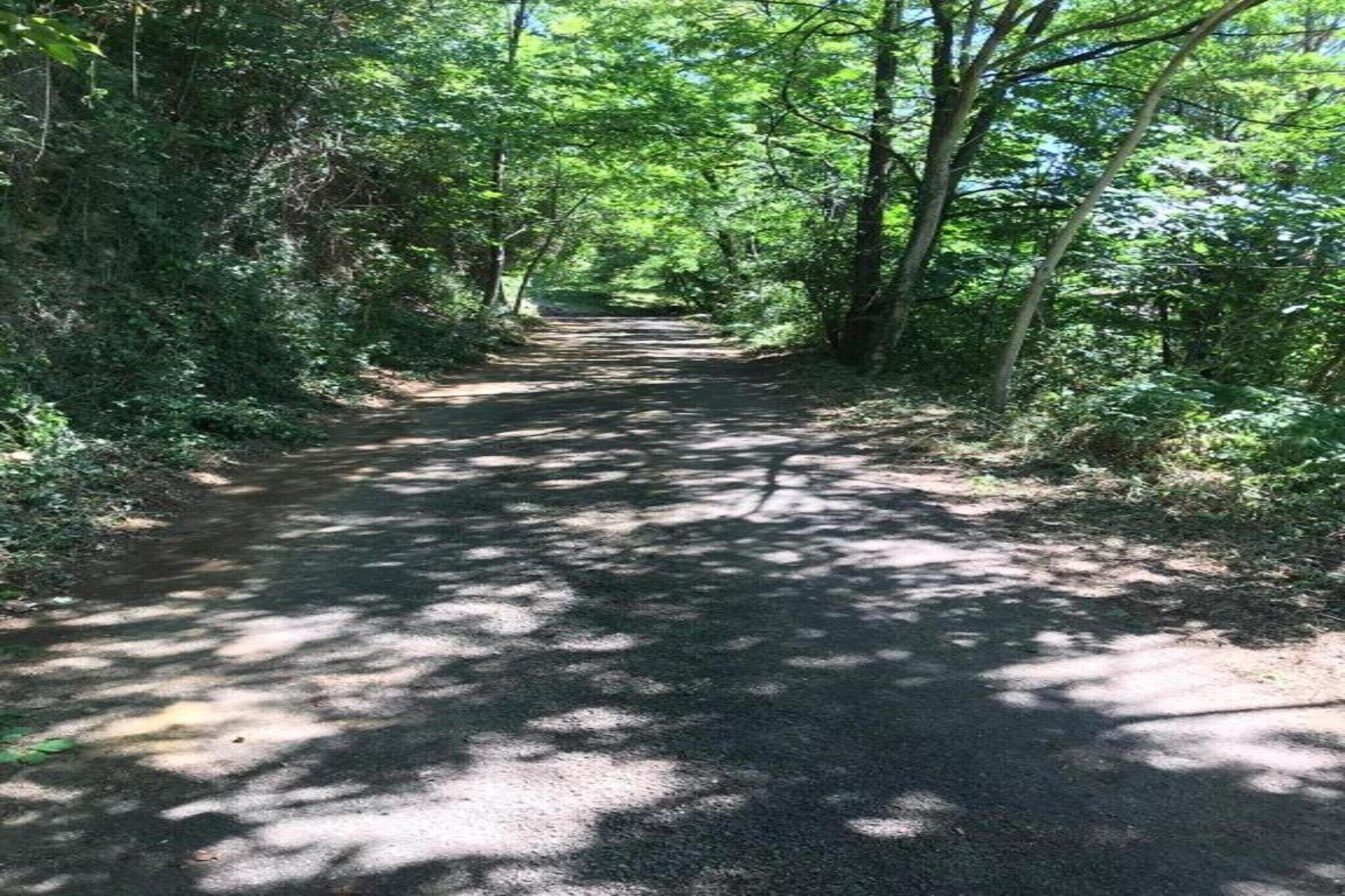 A narrow, tree-lined path in a wooded area.