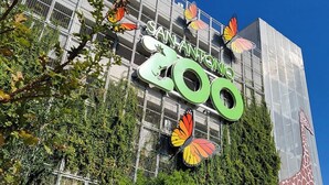 Un edificio con el letrero "SAN ANTONIO 100" y decoraciones de mariposas.