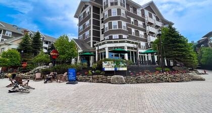 ML182 First Floor New Deck VIEWS EZ Parking WiFi