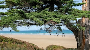 Une plage avec un grand arbre au premier plan et une étendue de sable en arrière-plan.
