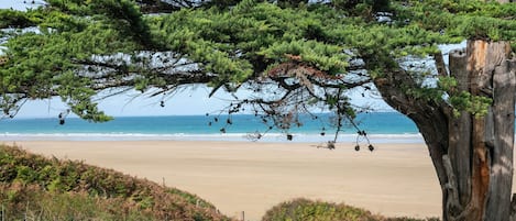 Una spiaggia nelle vicinanze