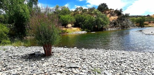 Villa "Casa Das Bonecas" with Mountain View