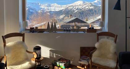 Chalet rénové pour 12 pers., à 100m des pistes, 300m des commerces, terrasses et parking inclus