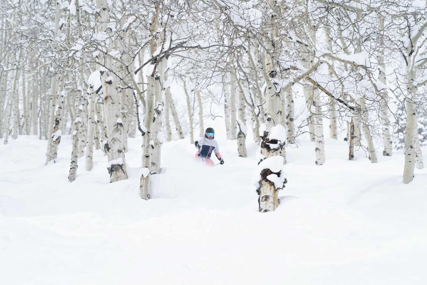 Sports d’hiver