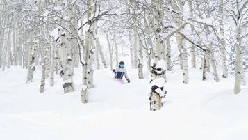 Sports d’hiver