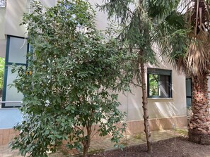 Jardines del alojamiento