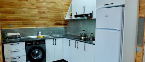 Una cocina compacta con lavadora, refrigerador y pileta.