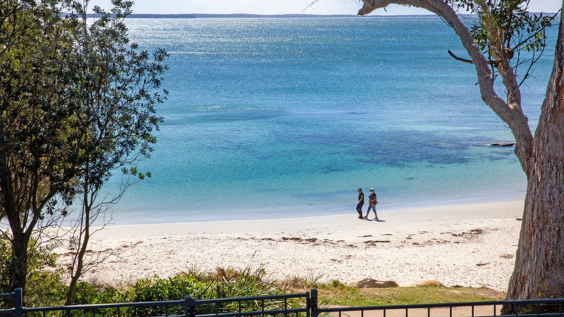 Una playa con dos personas caminando sobre la arena, un árbol en primer plano y una vista despejada del océano.