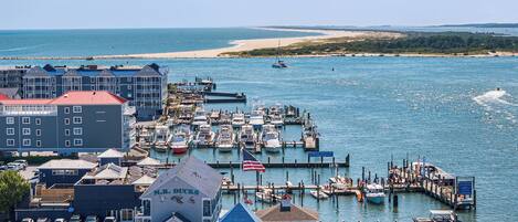 A marina with docked boats, a pier, and buildings including a restaurant named 'M.R. Ducks'.