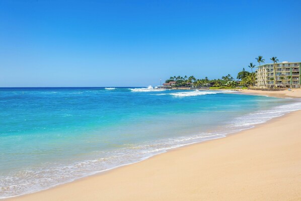 بالقرب من الشاطئ