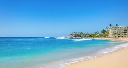 Ocean View Exquisite Home at Cottages at Mauna Olu Near Beach w/Outdoor Games