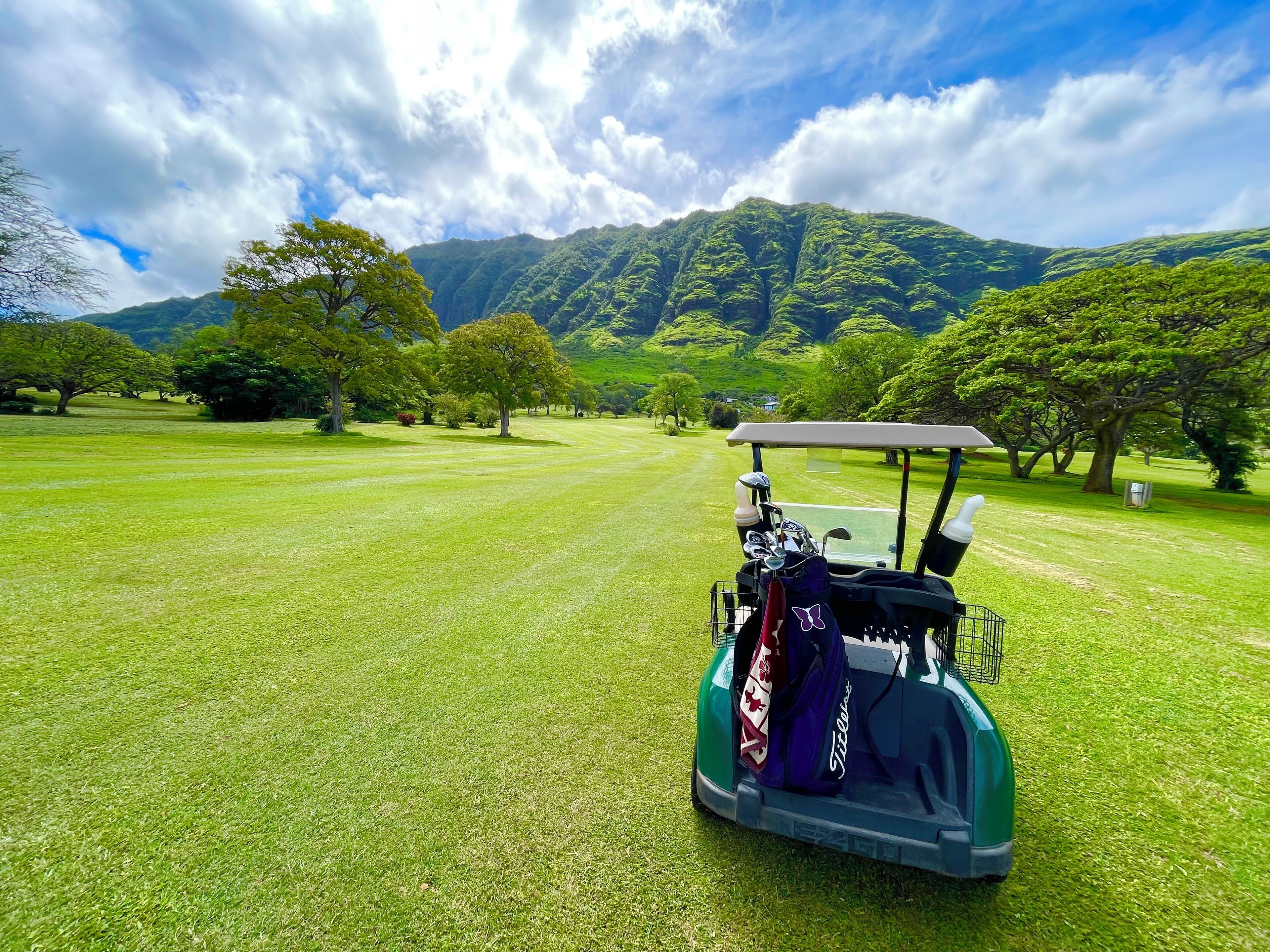 Ein Golfwagen auf einem gepflegten Golfplatz mit üppigem Grün und Bäumen, vor einer Bergkulisse und einem teilweise bewölkten Himmel.