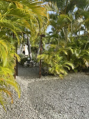 المنطقة المحيطة بالمنشأة