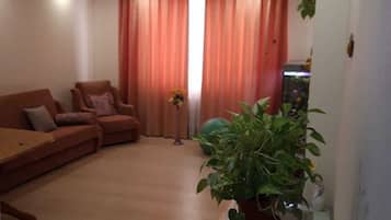Fernseher