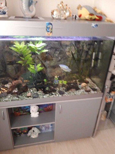 Aquaapart Guest Rooms