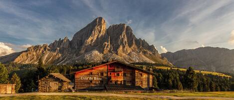 Un chalet rustique en bois, doté d’un balcon, entouré d’un champ verdoyant et avec des montagnes en arrière-plan.