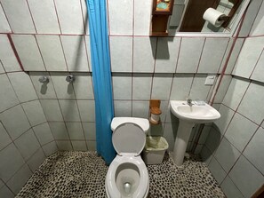 Secador de pelo, toallas, jabón y champú