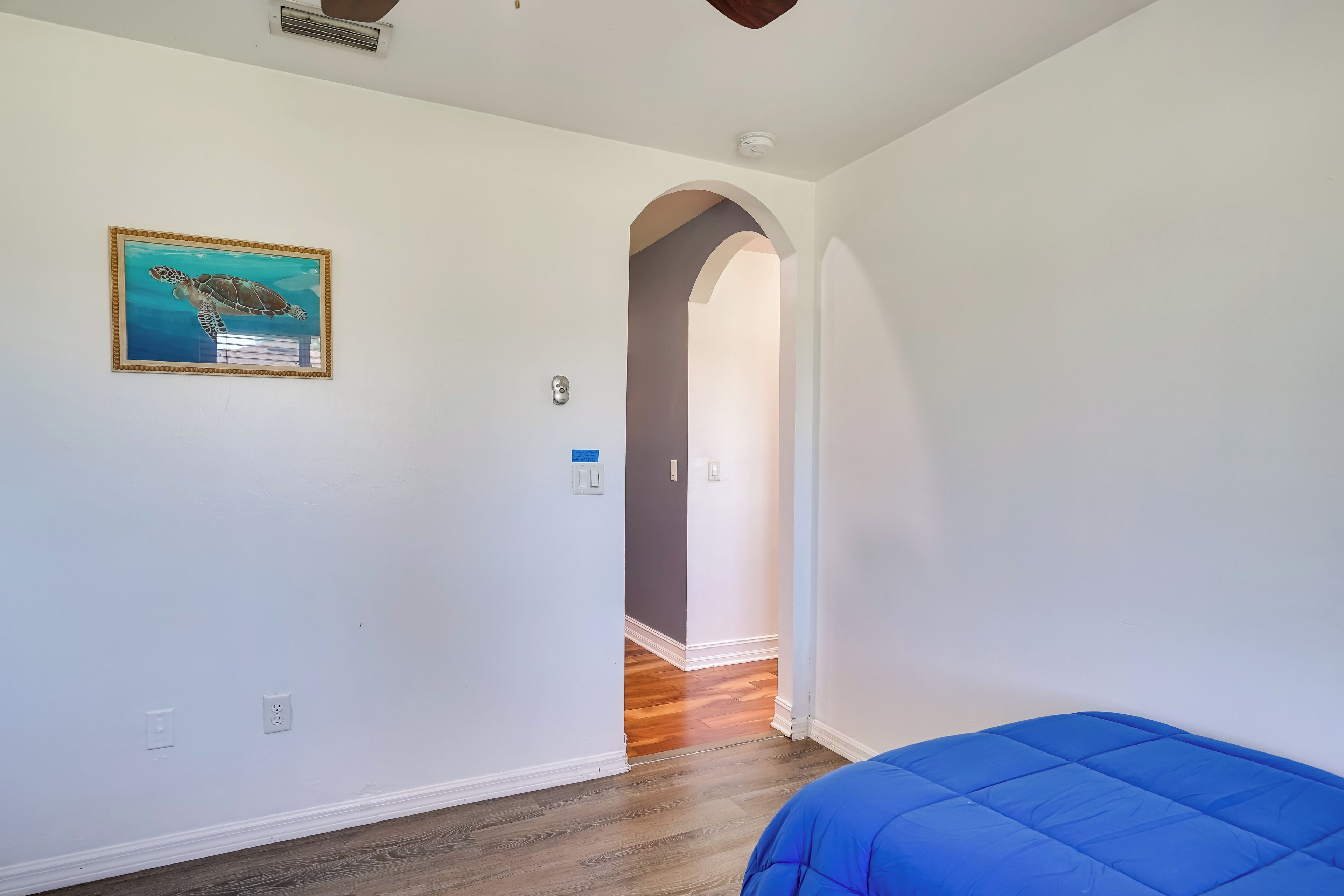 Una camera da letto con un letto blu, un quadro con una tartaruga marina e un pavimento in legno.