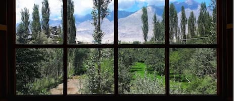 View from property