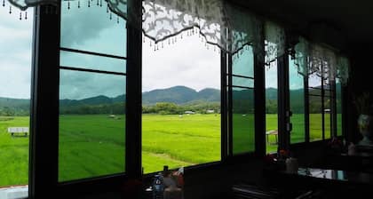 DoiSamoeDao Hostel