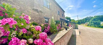 16th Cent,6 bed house,15 People
