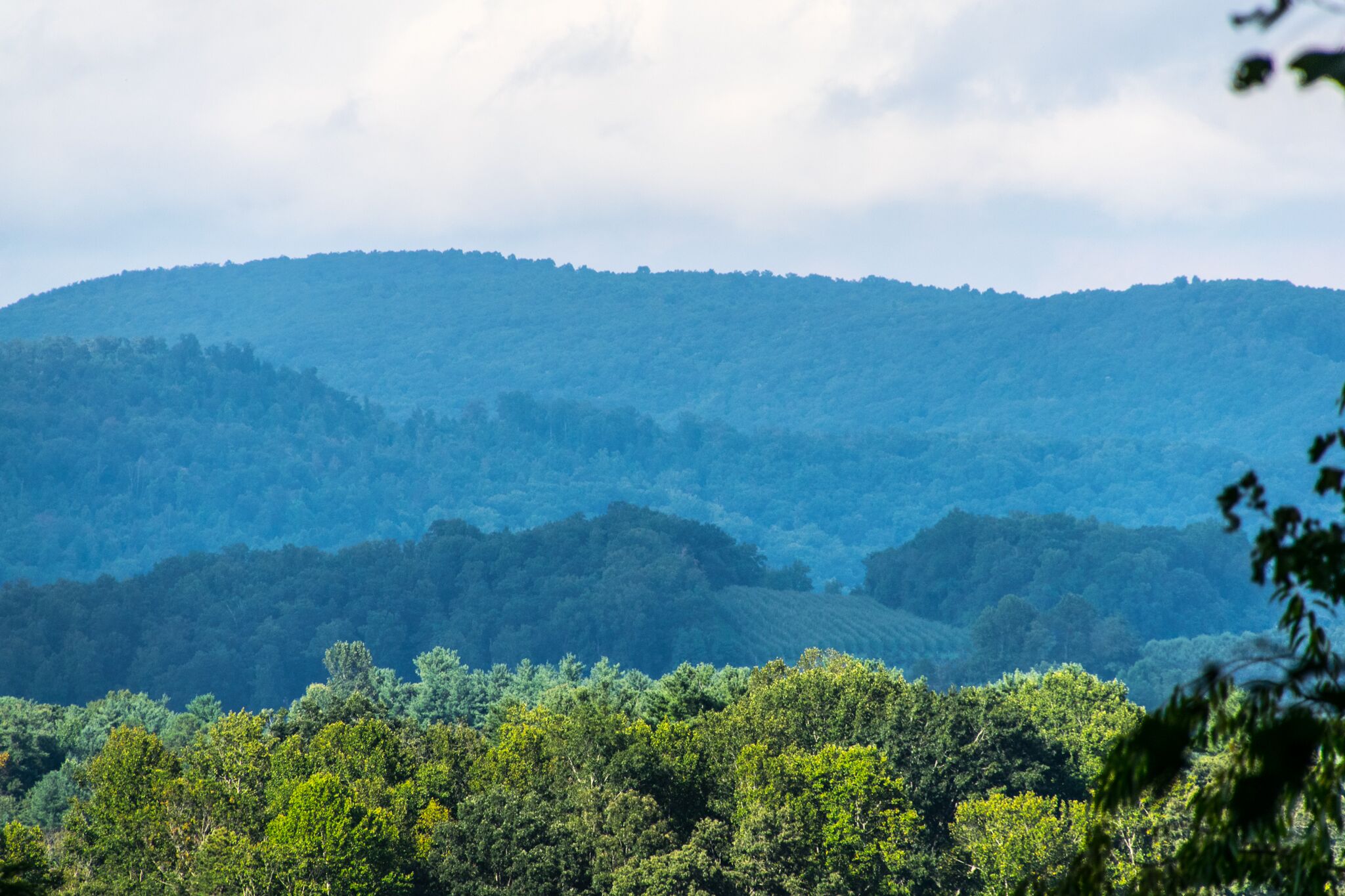 A mountainous landscape with dense forests.