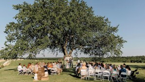 Une cérémonie de mariage en plein air, les invités étant assis sur des chaises blanches disposées en rangées sous un grand arbre.