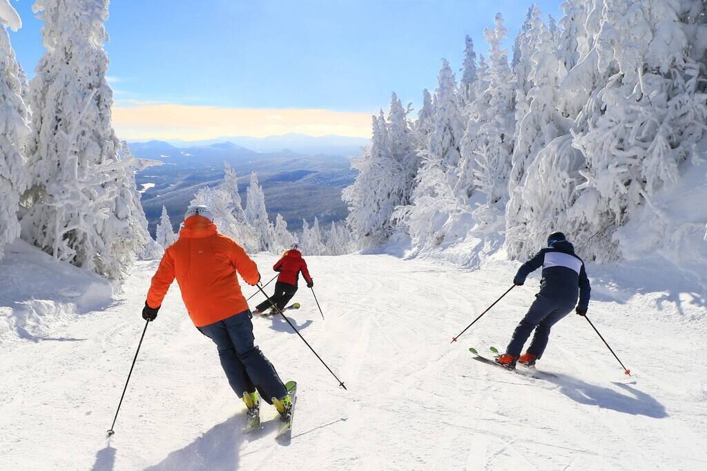 Snø- og skisport
