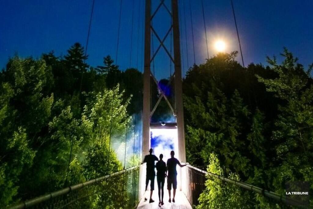 A suspension bridge at night with a full moon in the background.