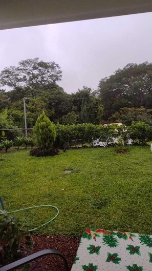 Living area - Alajuela (San Antonio)