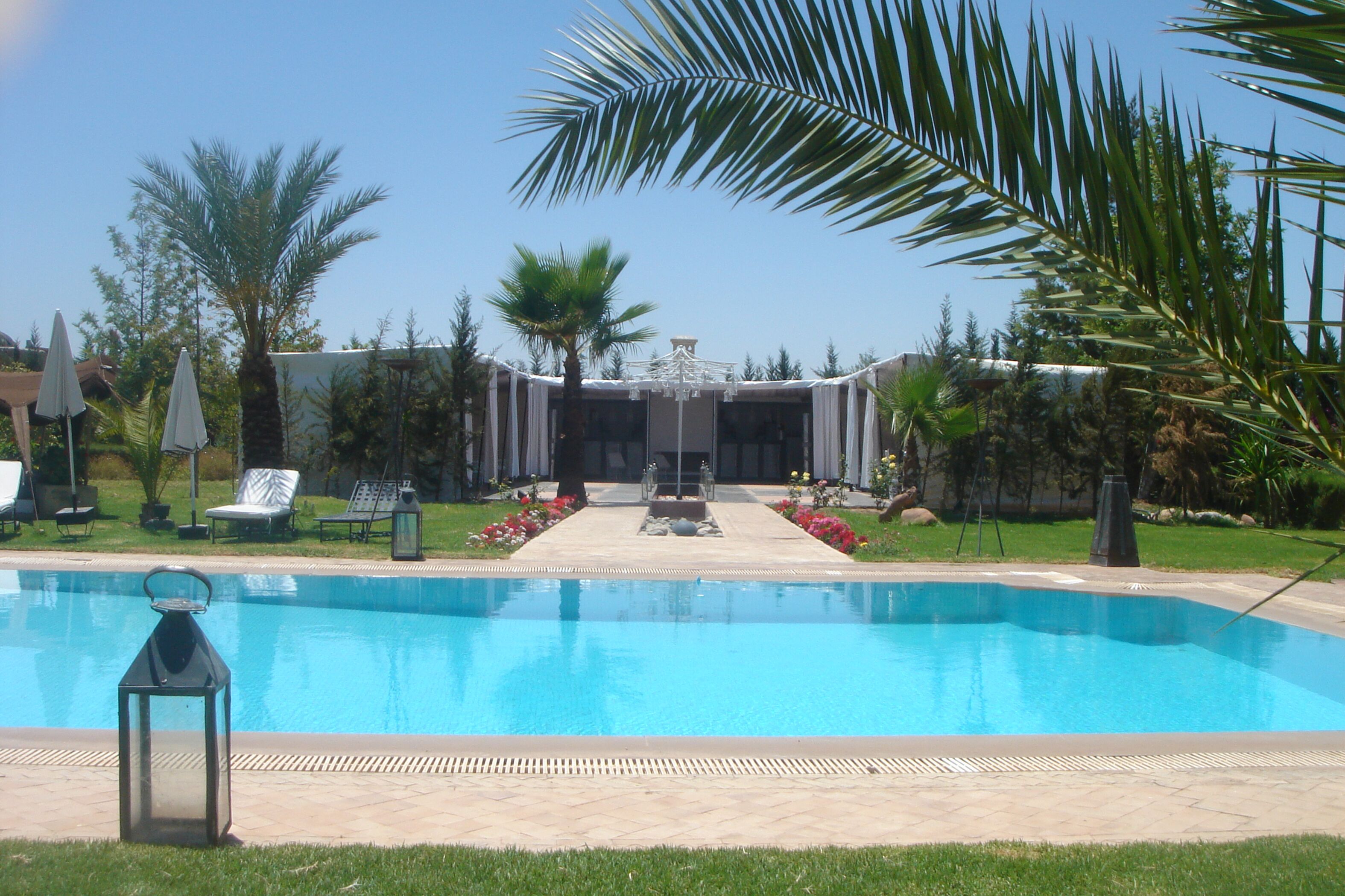 Una piscina con vistas despejadas al área de la piscina, sillas de descanso y una palmera.