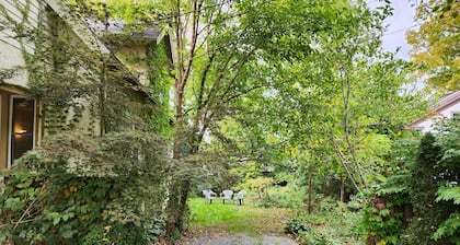 Cozy 3 Bedroom House in Downtown Ithaca